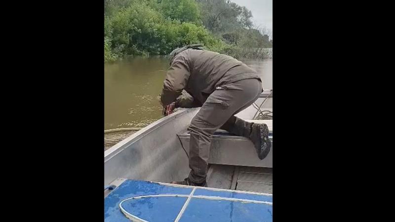 A halőrök megdöbbenve figyelték, ahogy a víz felszínén megjelenik valami szokatlan. Amikor végre sikerült kihúzniuk a Tiszából, a szemük előtt valóságos csoda bontakozott ki, amely minden várakozásukat felülmúlta.