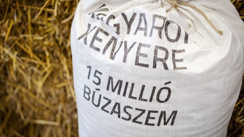A magyar gazdák ismét összefognak, hogy egyedülálló jótékonysági búzagyűjtést indítsanak, amely új rekordok felállítására ad lehetőséget. Az összefogás szellemében a közösség erejét kamatoztatva segíthetnek rászorulóknak, miközben a búza adományozása nemc