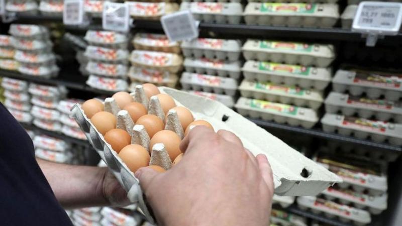 Az egekbe szökött tojásárak – vajon mikor ér véget a drágulás?