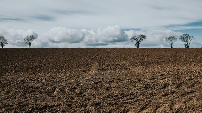 Váratlan fordulat érkezik az időjárás terén: a magyaroknak érdemes alaposan felkészülniük - Agrárszektor