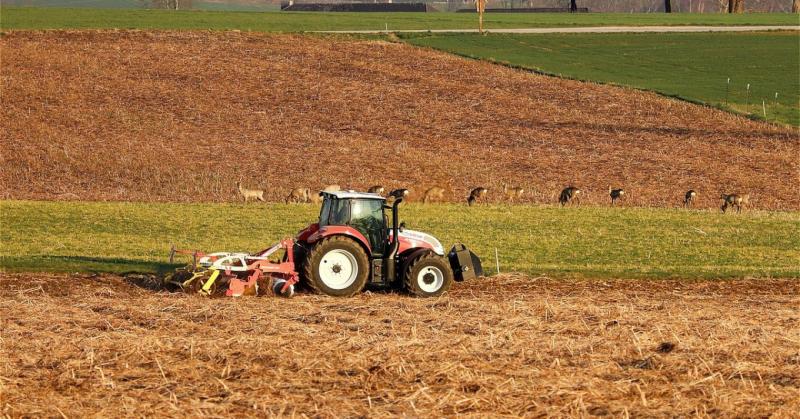 3 napos időjárás-előrejelzés: A következő napokban fokozatosan nő a csapadék lehetősége. Készüljünk fel esősebb időszakokra!